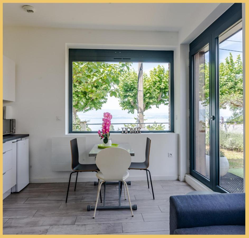 Appartement Cozy 1 Panoramique Lac Leman Τονόν-λε-Μπαιν Εξωτερικό φωτογραφία