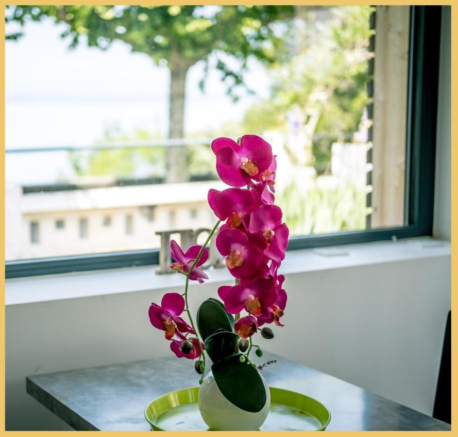 Appartement Cozy 1 Panoramique Lac Leman Τονόν-λε-Μπαιν Εξωτερικό φωτογραφία